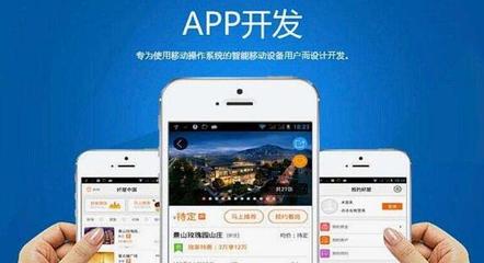 如何选择专业做APP软件开发的